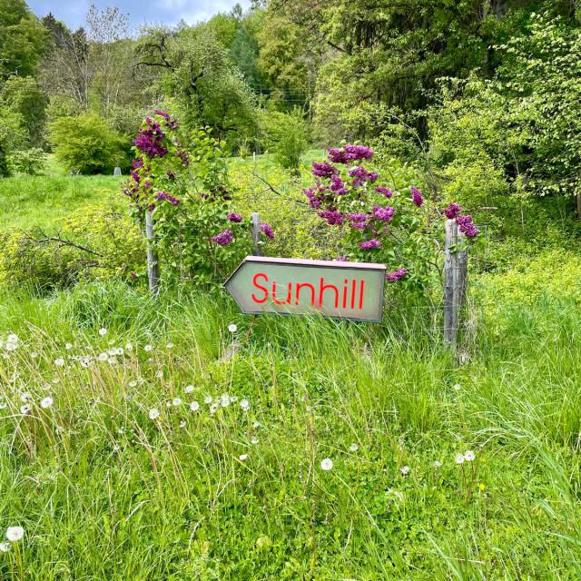 Wegweiser "Sunhill" auf einer Wiese