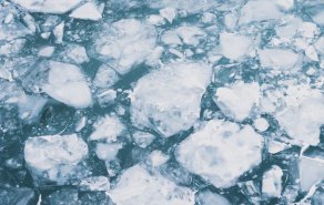 Ice Swimming German Open, Januar in Burghausen Weltmeisterschaft, Bild 1/1