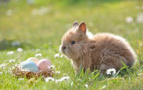 Ostern in Altötting 2018, Bild 1/1