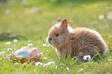 Ostern in Altötting 2018, Bild 1/1